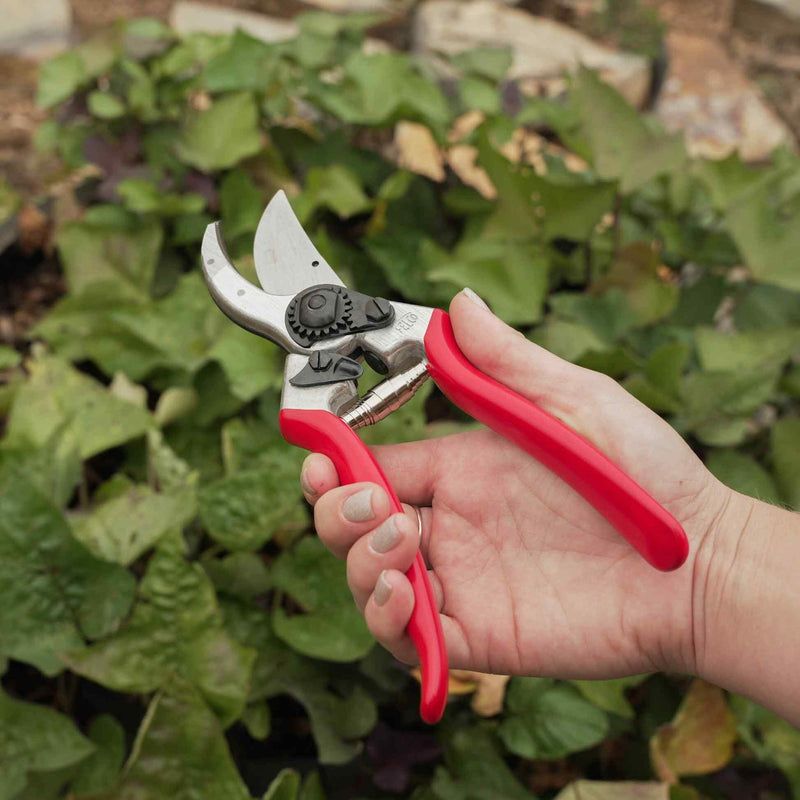 Pruning Shears (Secateurs)