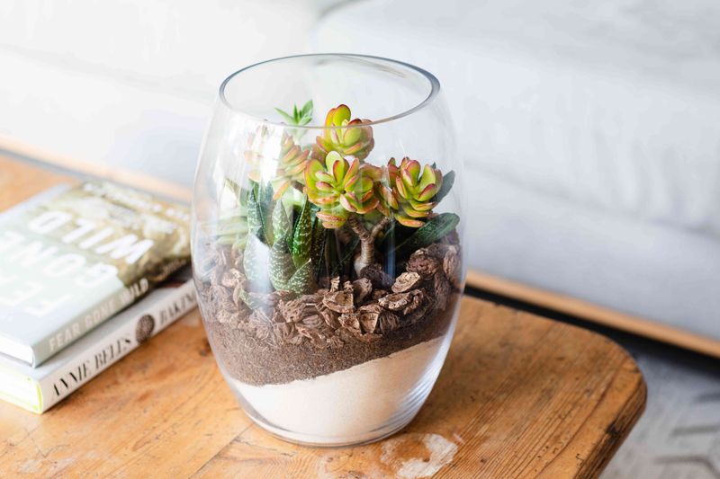 Terrarium Table Decor
