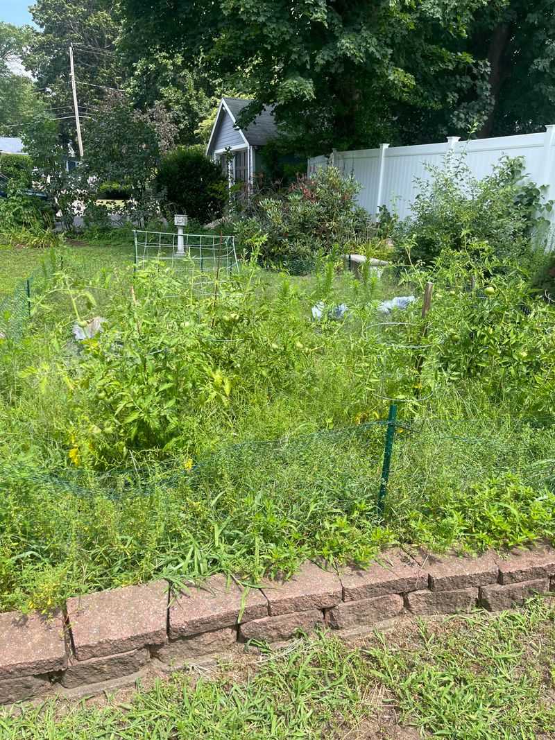 Planting Too Much Too Soon