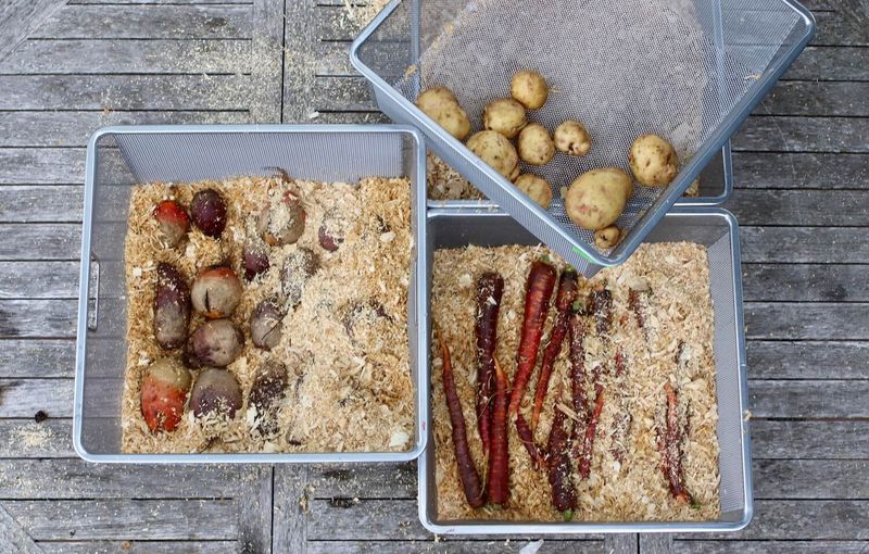 Store Properly After Harvest