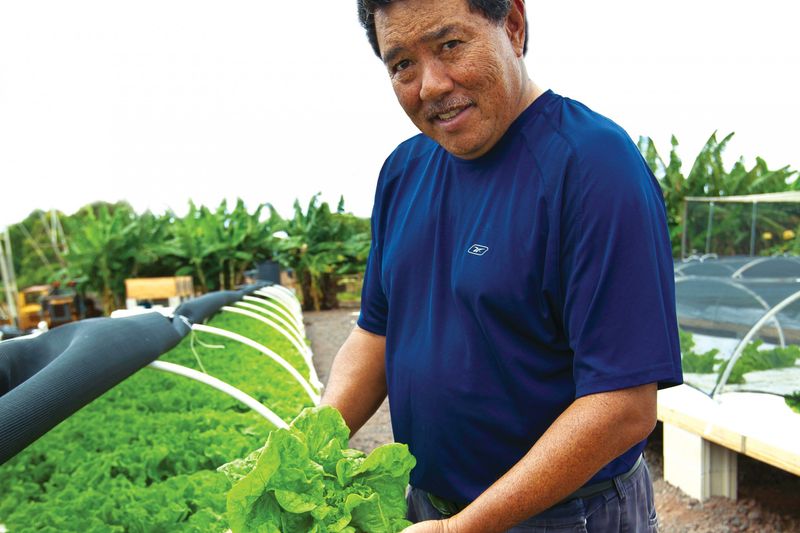 Hawaiian Aquaponics Systems