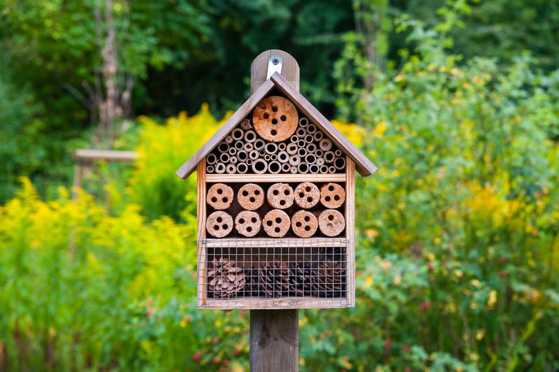 Insect Hotels