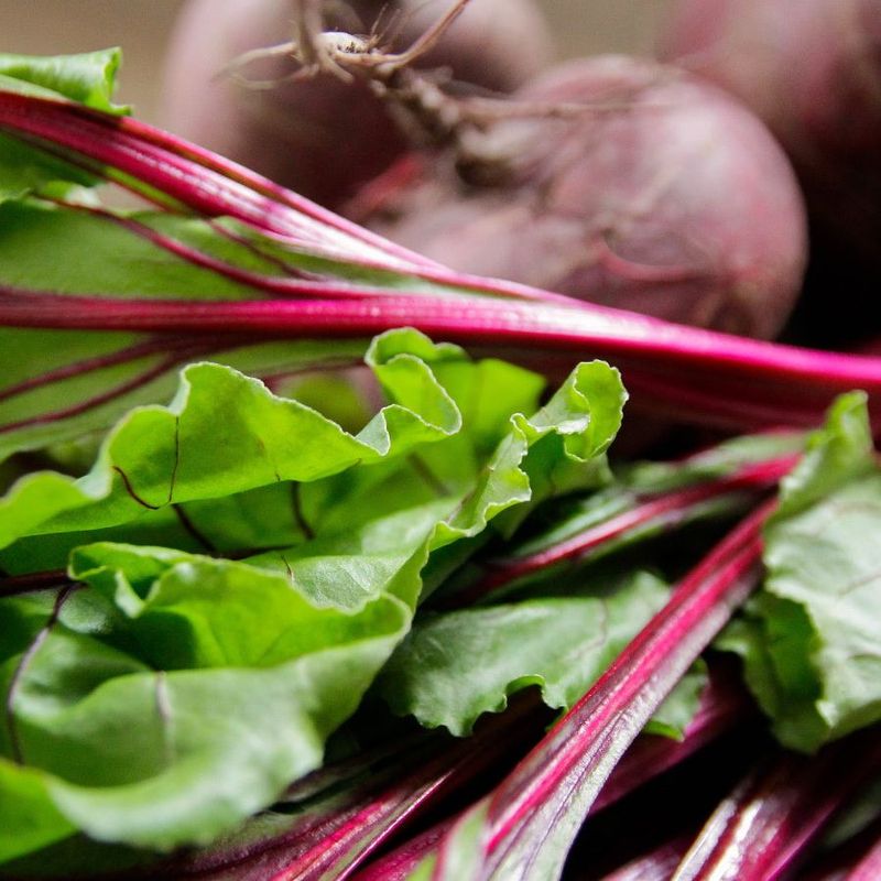 Beetroot Top Revival