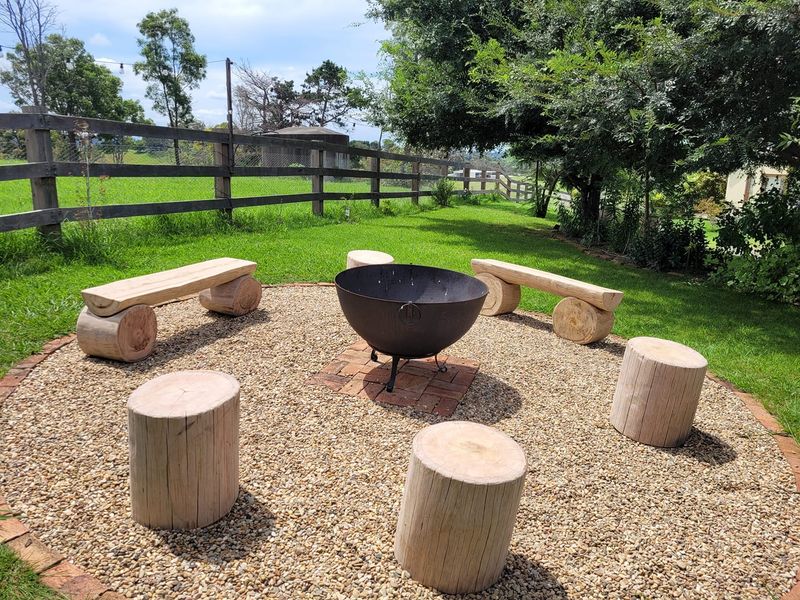 Log Stump Seats
