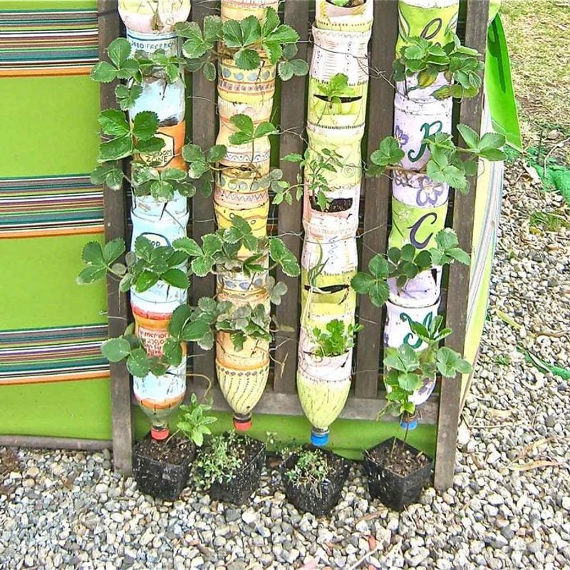 Bottle Tower Gardens