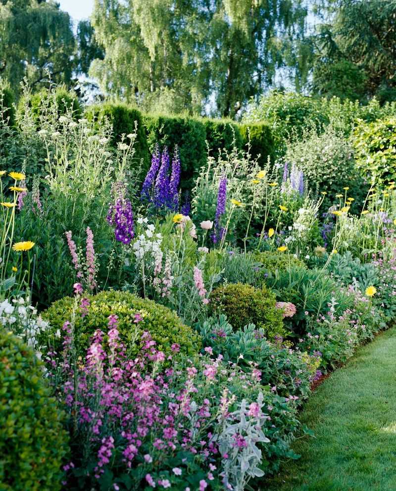 Perennial Borders