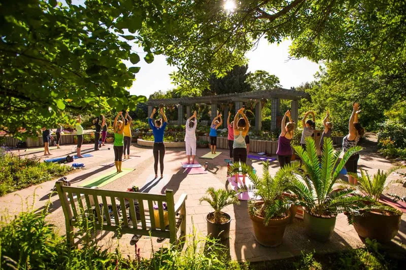 Butterfly Observation