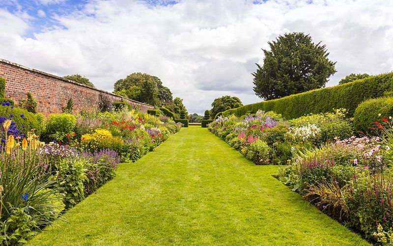 Herbaceous Borders