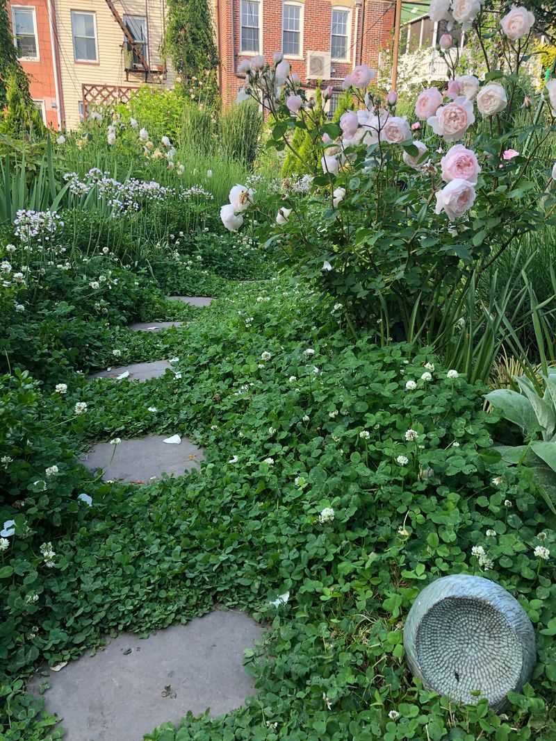 Natural Ground Cover