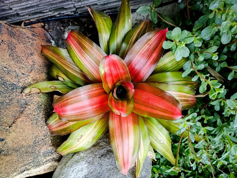 Natural Fertilizer Factory