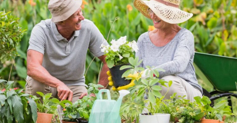 How Boomers Grew the Greenest Gardens Without Google