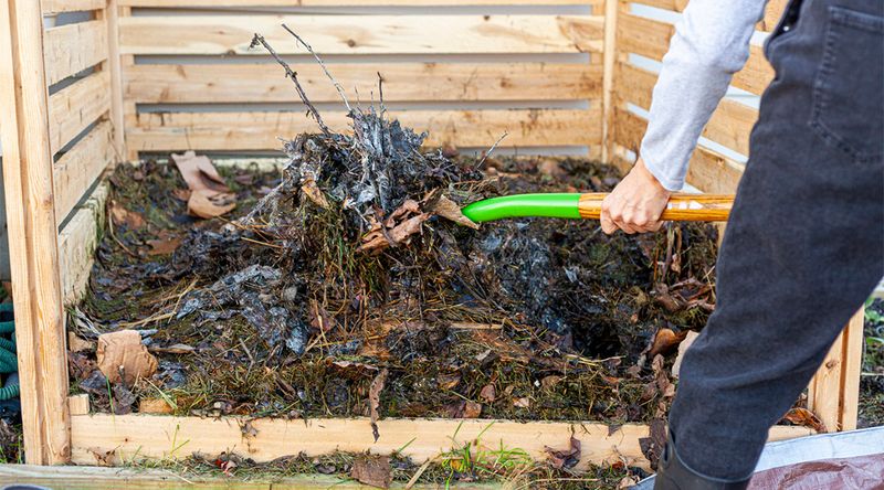 Compost Tea vs. Compost