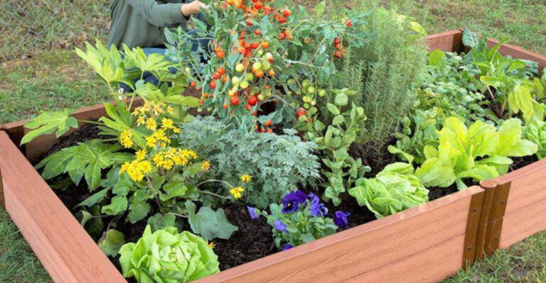 How to Build Cheap, DIY Raised Garden Beds In Under 30 Minutes