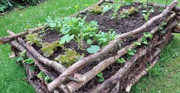 How to Build Raised Beds Without Spending a Fortune