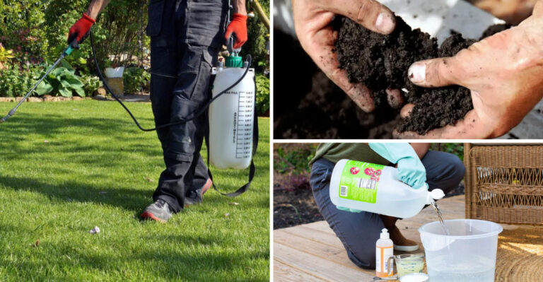 How to Get Rid of Crabgrass On the Lawn (And Should You Actually Do It?)