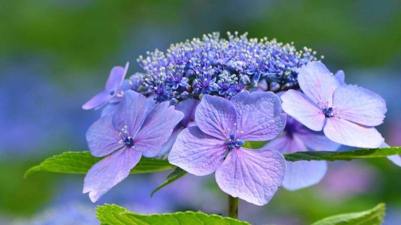 Choosing the Right Location