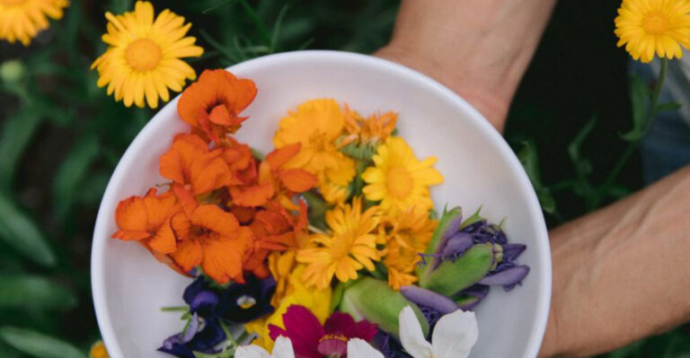 How to Grow a Garden That Looks Good and Feeds You