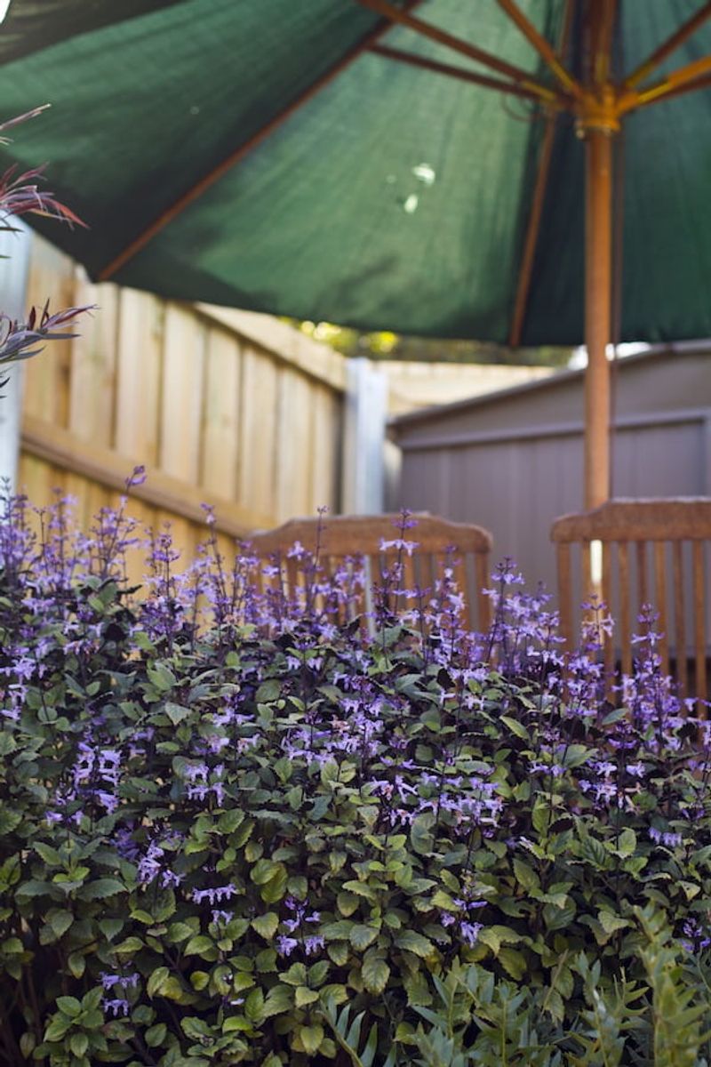 Finding the Perfect Spot