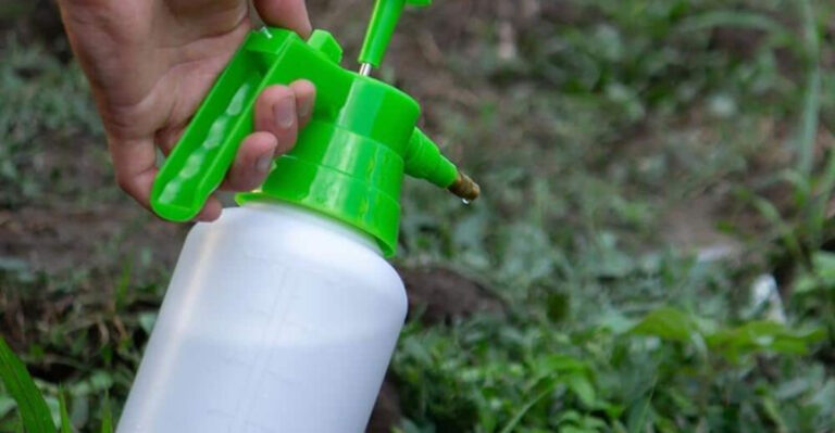 How to Kill Weeds Naturally with Vinegar – 10 Easy Steps for Chemical-Free Control!