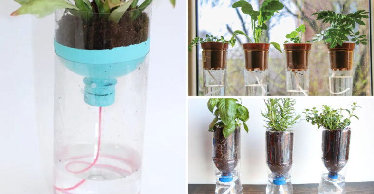 How to Make a Self-Watering Planter at Home