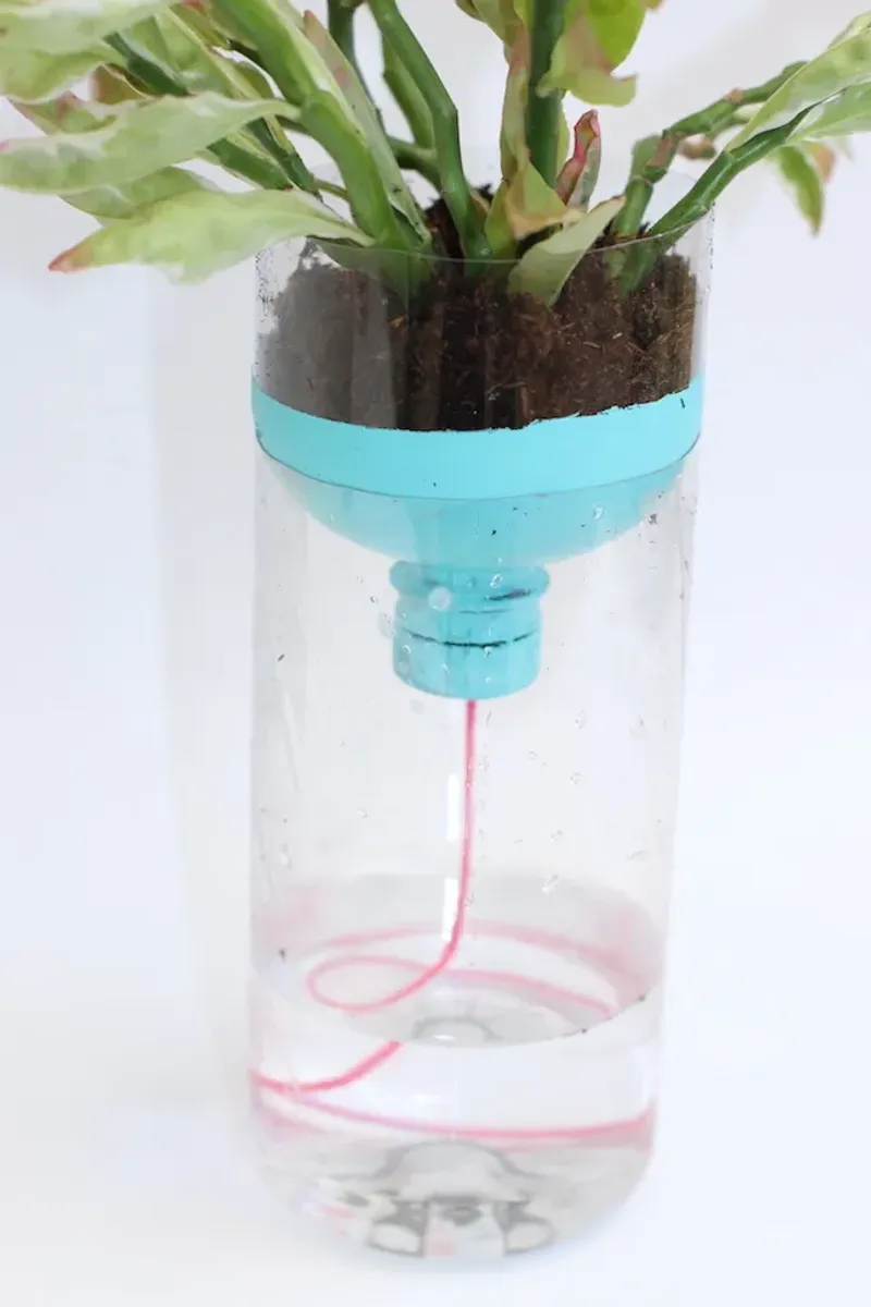 Choosing the Right Container