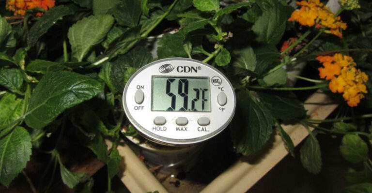How to Test Your Soil Without a Lab
