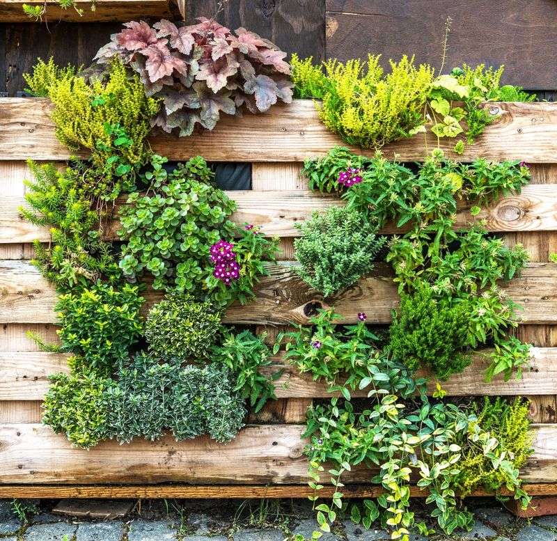 Vertical Garden Walls