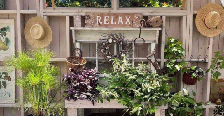 How to Turn Your Shed into a Potting Paradise