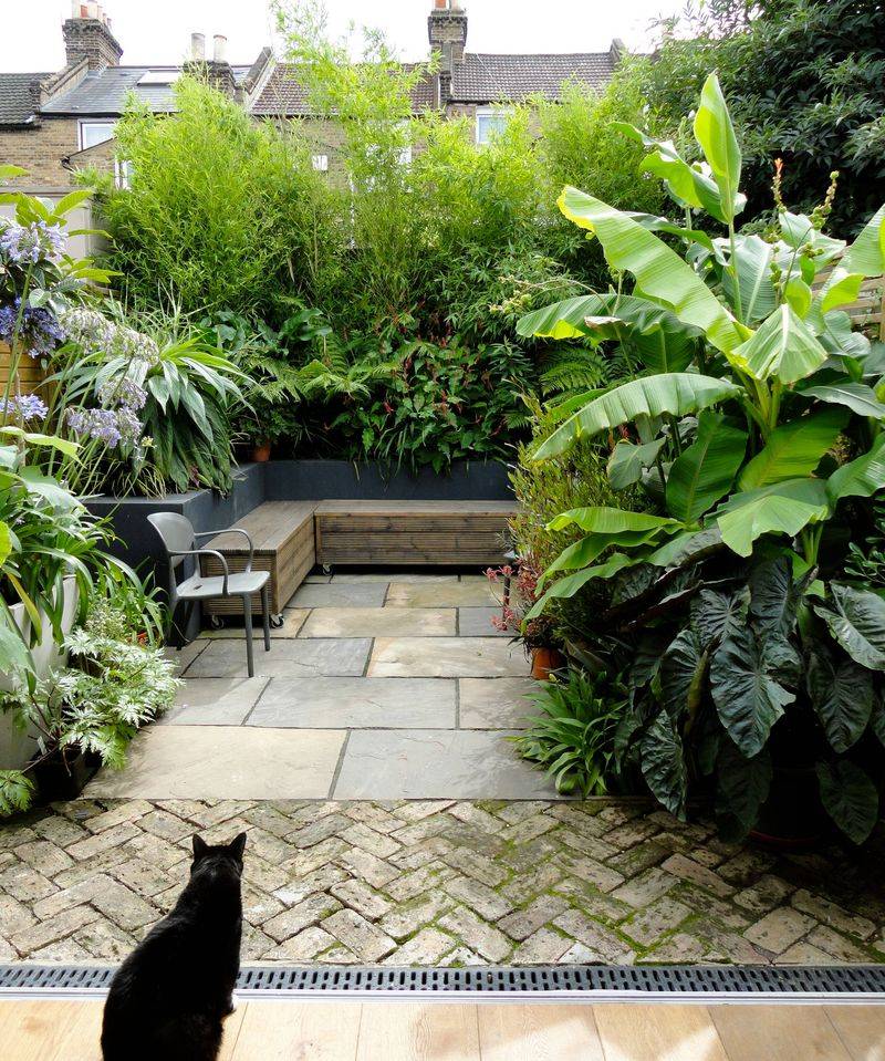 Lush Greenery and Potted Plants