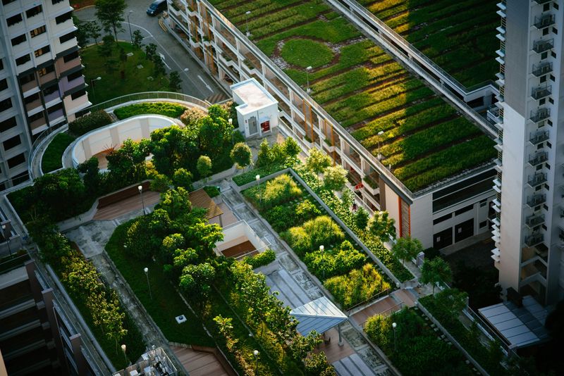 Green Roof Gardens