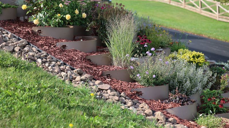 Prevents Soil Erosion