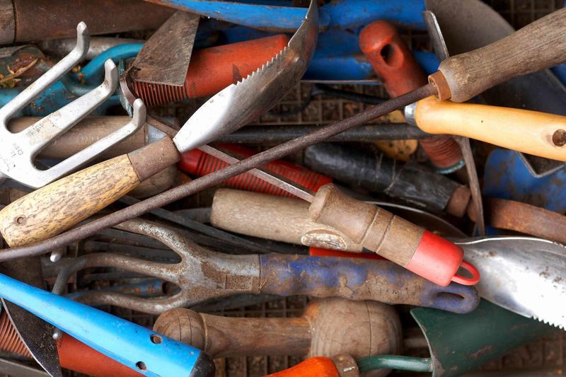 Using Dirty Watering Tools