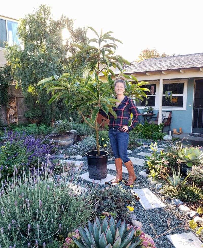 Using the Wrong Plant Varieties