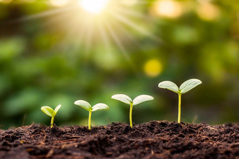 Ignoring Seasonal Changes