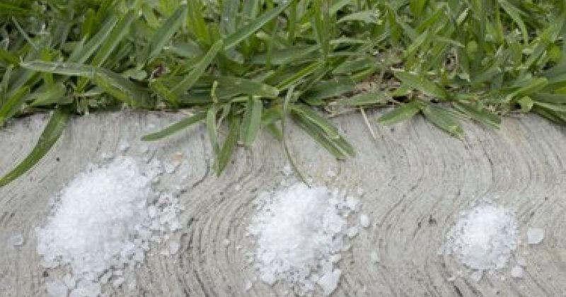 Apply Gypsum for Soil Health