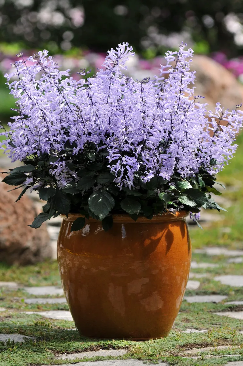 Seasonal Transition Planning