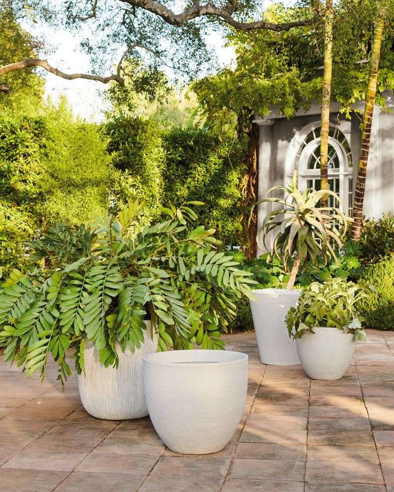 Incorporate Large Planters & Pots