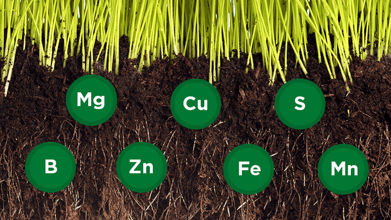 Enhance Soil Nutrient Profile