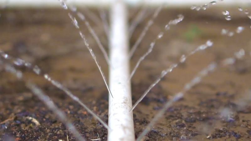 Using PVC Pipes for Deep Root Watering