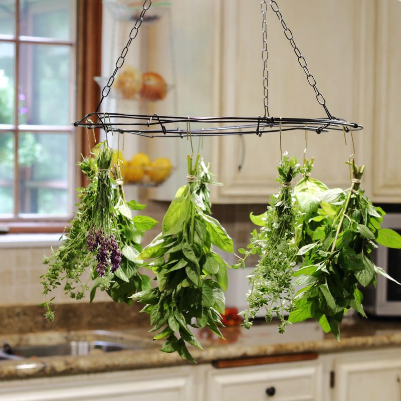 Creating a Herb Drying Station