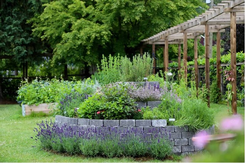 Herb Spiral Garden