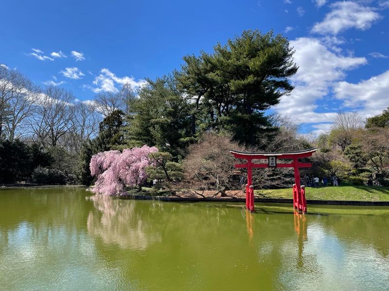 Brooklyn Botanic Garden, USA