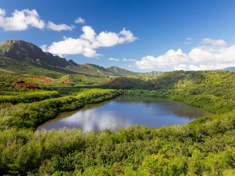 The Menehune Fish Ponds