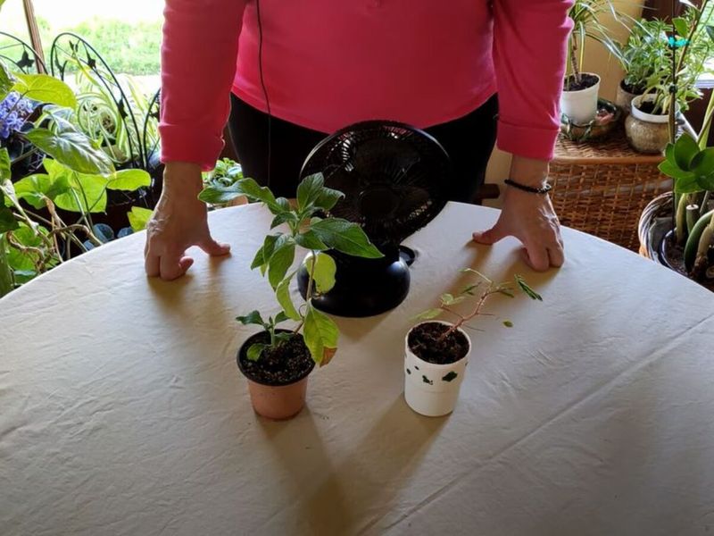 Ignoring Air Circulation