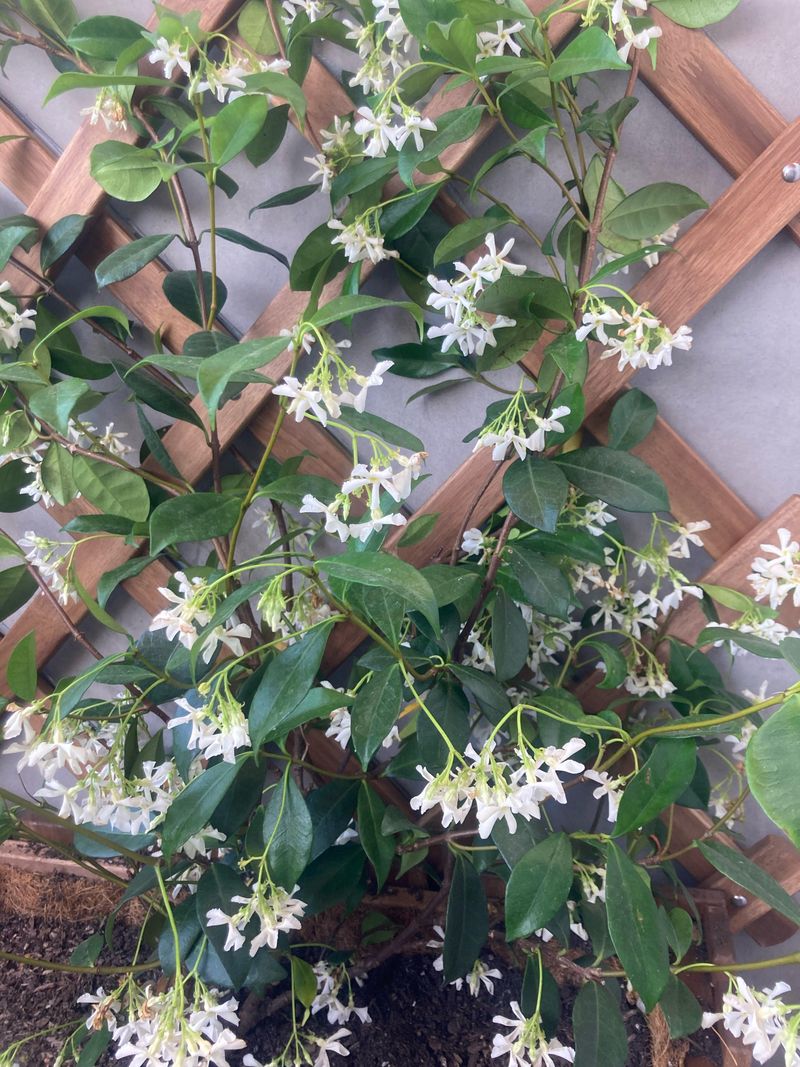 Ignoring Soil Compaction