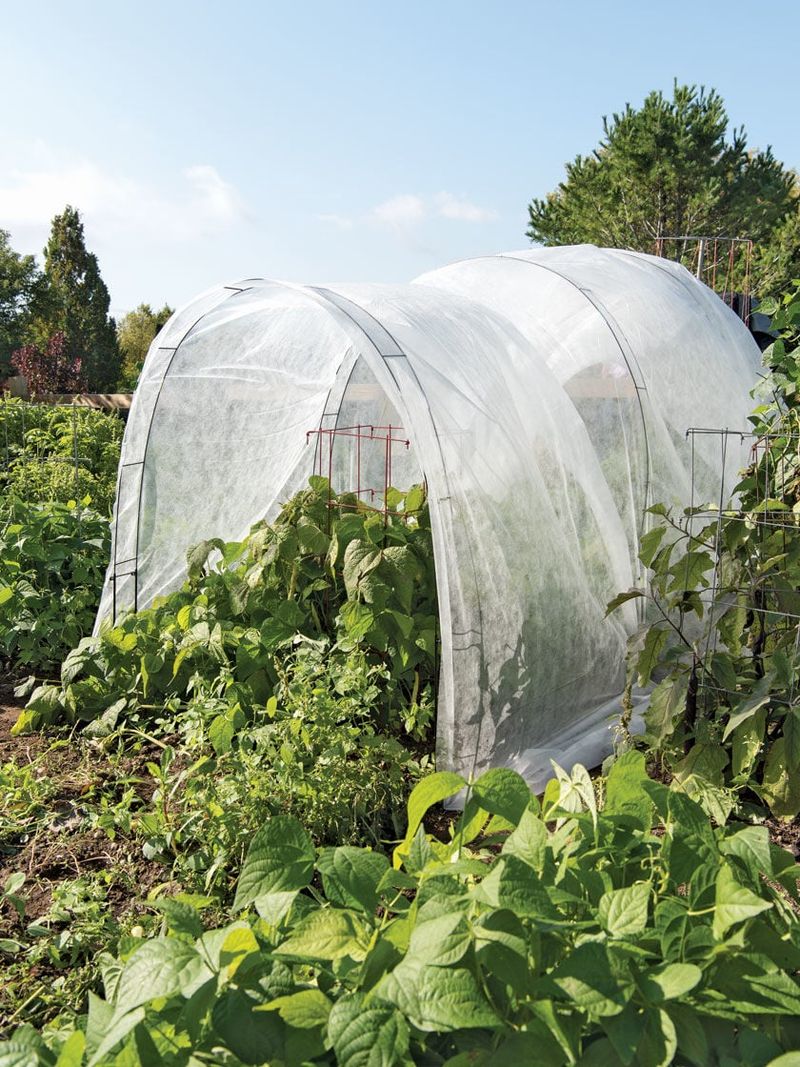 Row Covers – Lightweight fabric blocks moths/beetles while letting sun/water through.