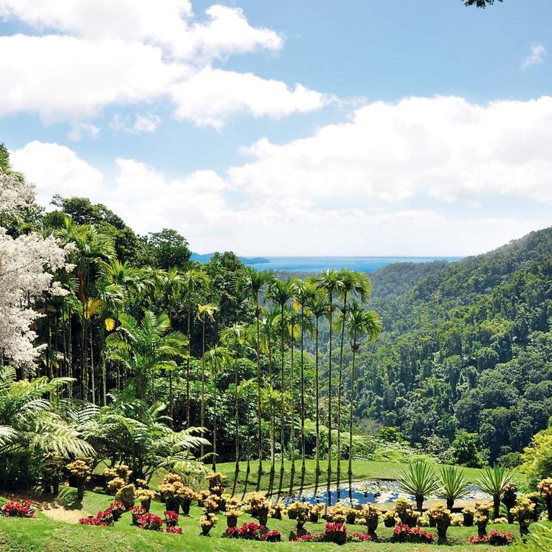 Jardin de Balata, Martinique