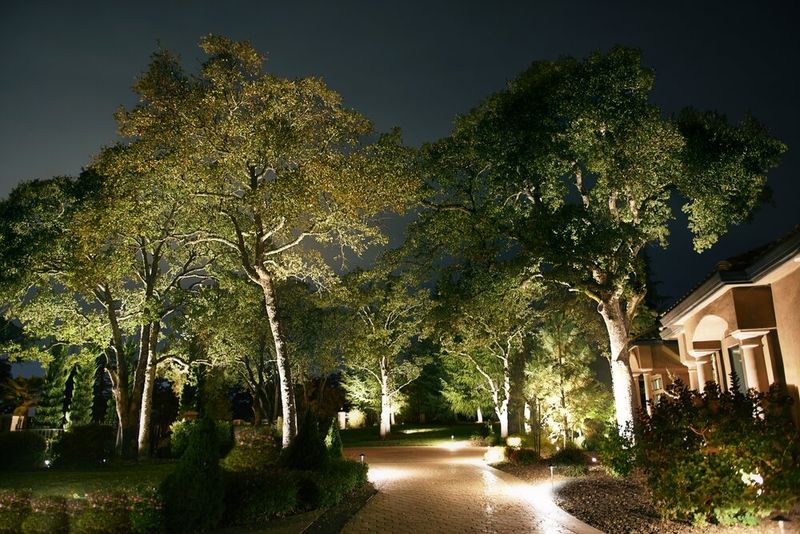 Outdoor Lighting (Path Lights, Uplighting Trees)