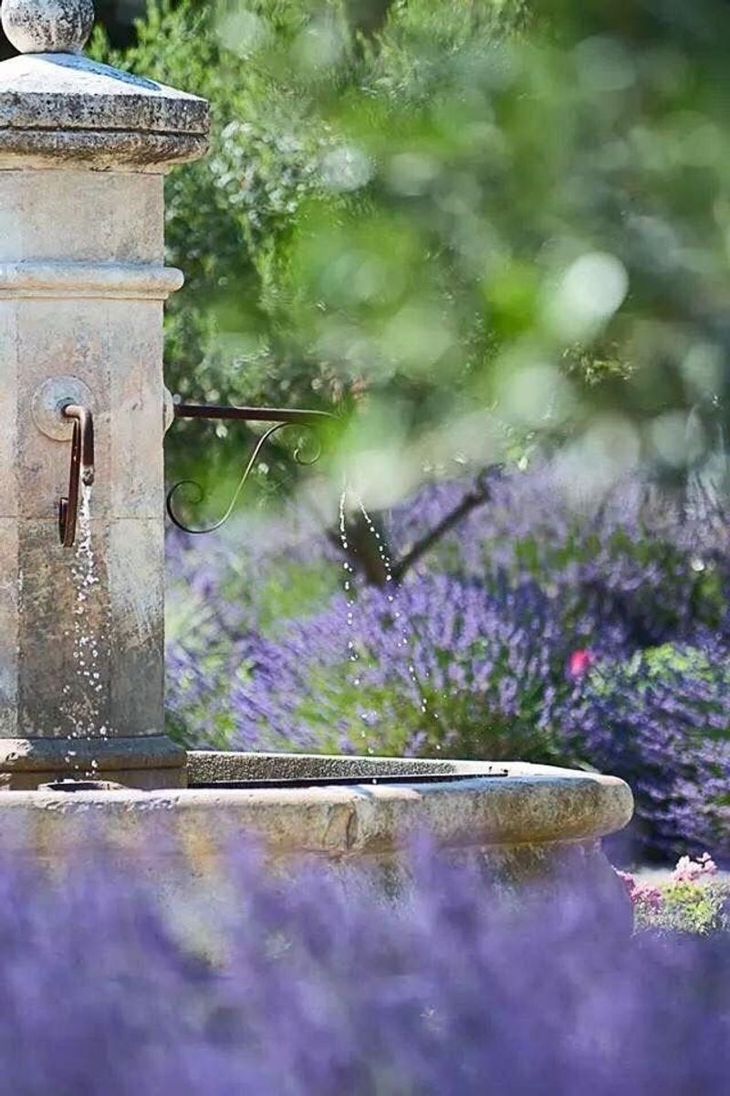 Lavender Water Feature