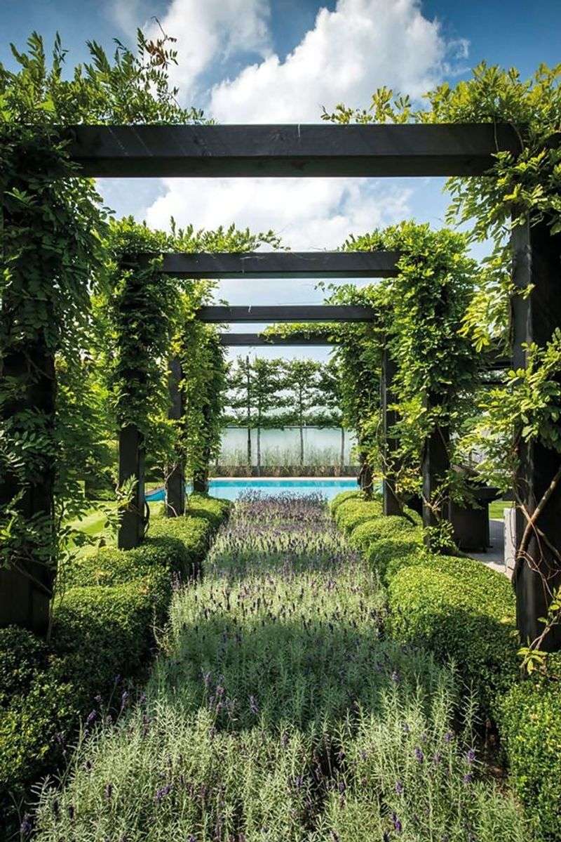 Lavender Pergola